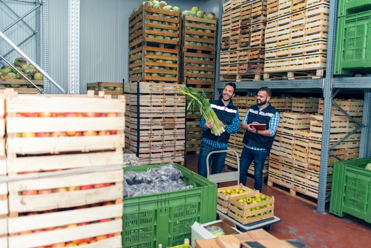 Grocery and Food Pallet